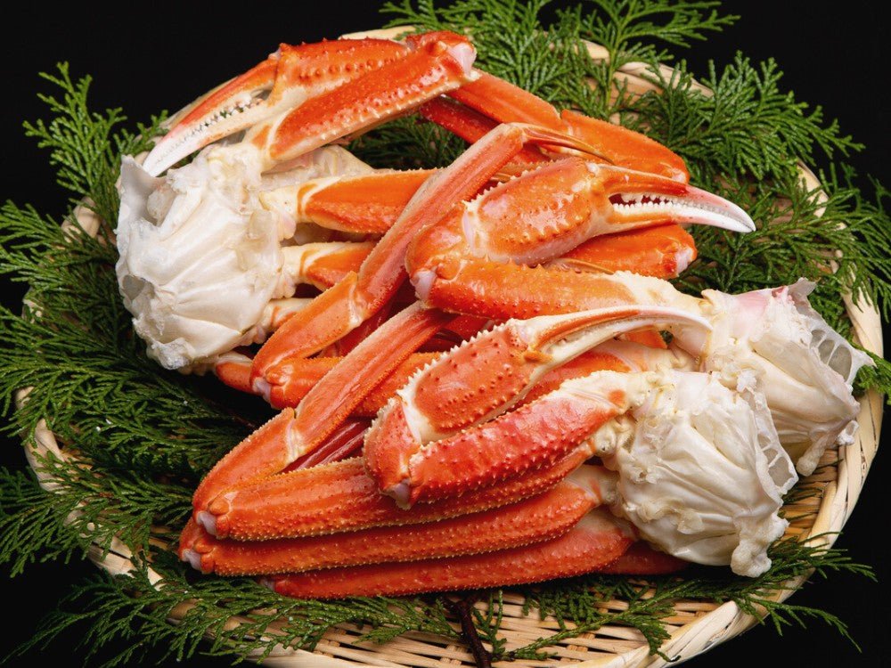 豊洲市場直卸海鮮通販ボイルズワイガニ 大サイズ 肩1kg