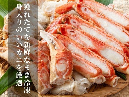 豊洲市場直卸海鮮通販ボイルズワイガニ 大サイズ 肩1kg