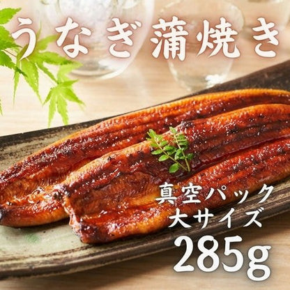 豊洲市場直卸海鮮通販うなぎ蒲焼き 大サイズ 1尾285g