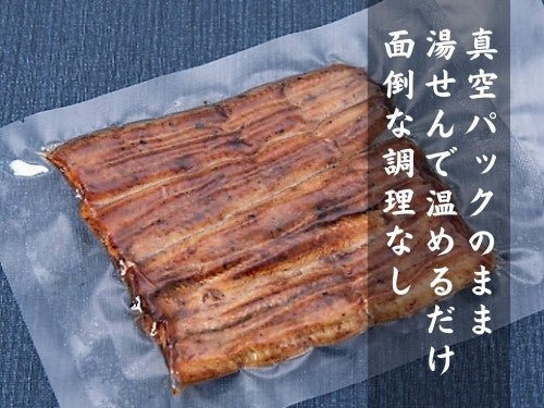 豊洲市場直卸海鮮通販うなぎ蒲焼き 真空パック 100g