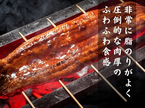 うなぎ蒲焼き 大サイズ 1尾285g – 豊洲市場直卸通販