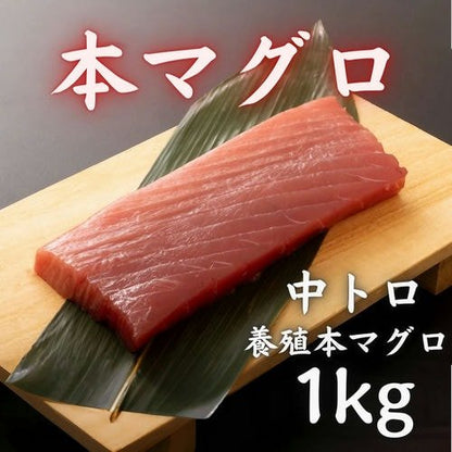 豊洲市場直卸海鮮通販本マグロ 中トロ 1kg