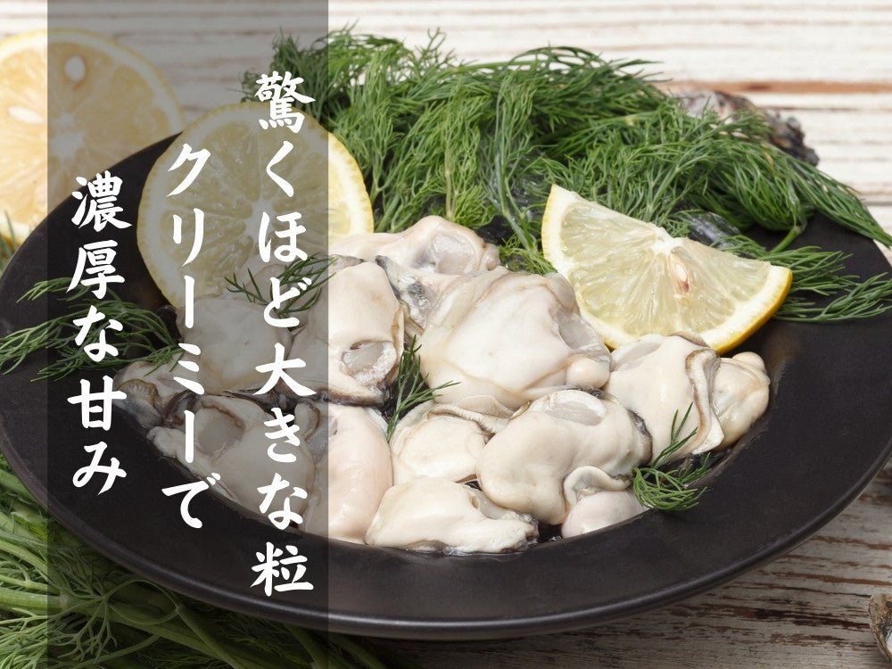 豊洲市場直卸海鮮通販広島産地御前牡蠣 3Lサイズ 1kg