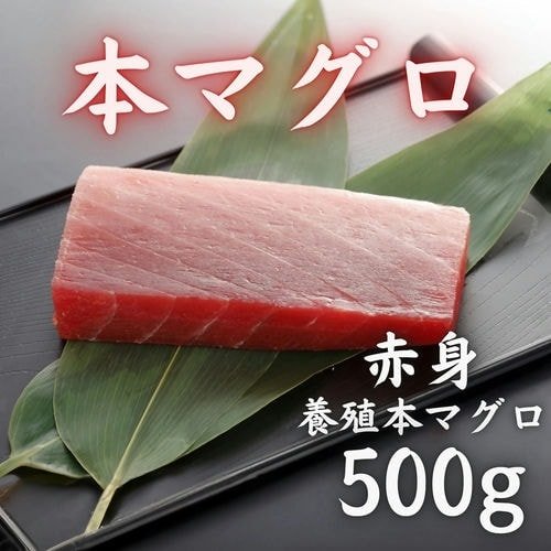 豊洲市場直卸海鮮通販本マグロ 赤身 500g